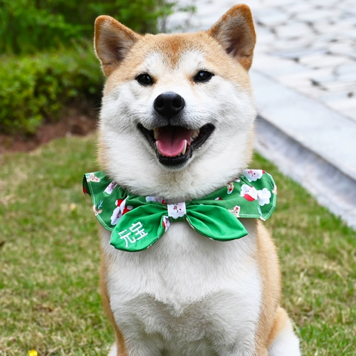 Шарф, галстук-бабочка с бантиком, аксессуар, делается под заказ