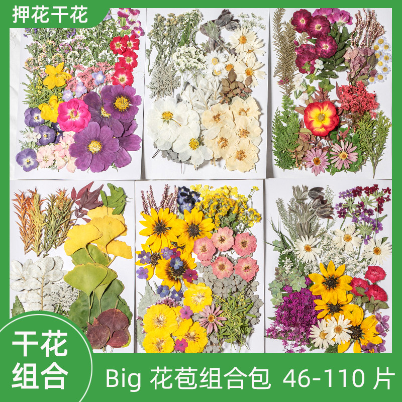 Dry Flower Diy Material Real Flower Drip Glue Mobile Phone Shell Handmade Group Fan Greeting Card Bookmark Embossing Rose Leaves Big Flower Bag-Taobao