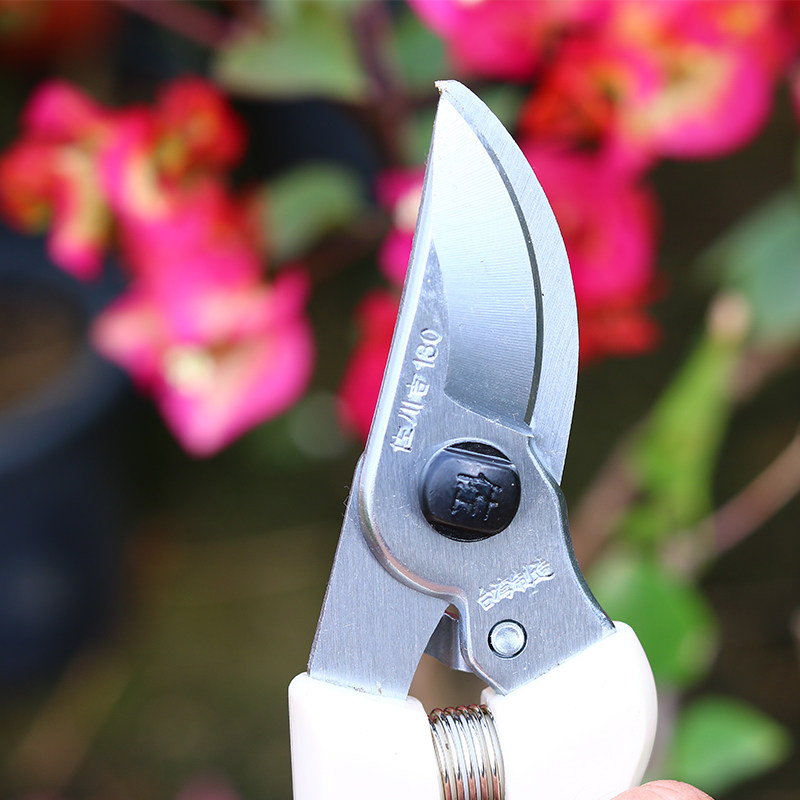Garden shears flower field for self-use