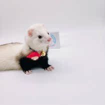 * Twelve constellations bell collars * Pet mink Dragon Marchel universal cute anti-drop collar 12 optional