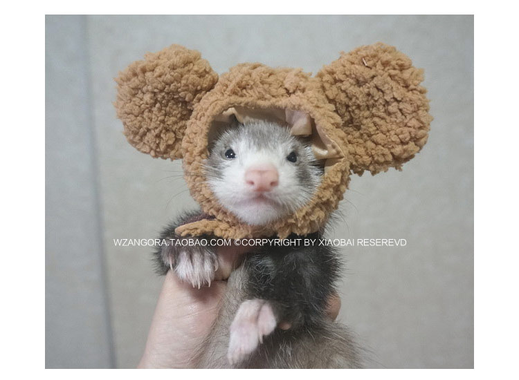* Mũ nhỏ siêu đáng yêu * Thú cưng tuyết snow 品 安 安 安 雪 雪 - Quần áo & phụ kiện thú cưng áo phao cho chó