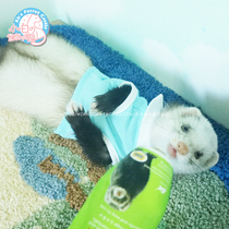 * Polo shirt * Pet Ferret ferret clothes trendy T-shirt Angoru Angrumar Cher