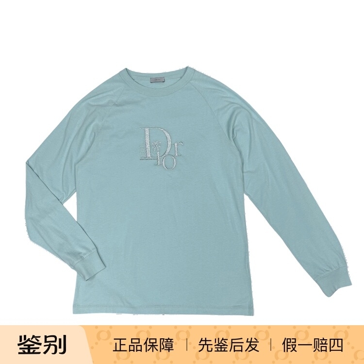 Dior Men's Silver Logo Embroidered T-Shirt Sweatshirt Long Sleeve T-Shirt Crew Neck Pullover Fashionable Versatile