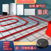 Viessmann Weineng floor heating wall-mounted furnace radiator domestic hot water dual-purpose furnace gas boiler household