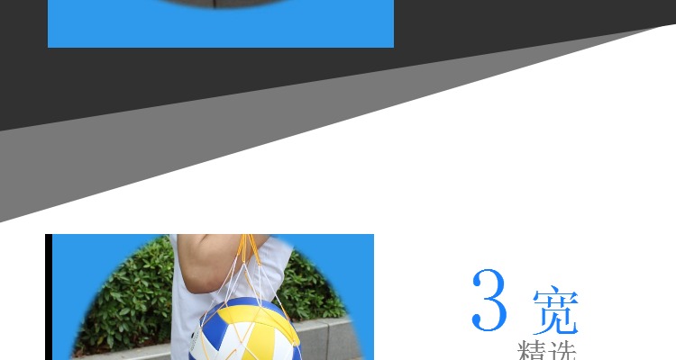 Ballon de volley-ball - Ref 2010500 Image 16