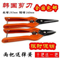 South Korea Cut Flowers Branches Scissors Spring Scissors Handmade Scissors Ceiling Scissors Long Mouth 195 Short Mouth 160MM