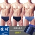 3 hộp quà tặng, đồ lót nam, eo tam giác, cotton, cotton rộng, quần short cotton thể thao kéo dài Giữa eo