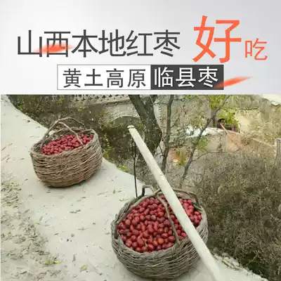 (Yellow River Beach jujube) Farm-produced wooden jujube porridge snacks Red Jujube Jun Jujube original ecological 500g
