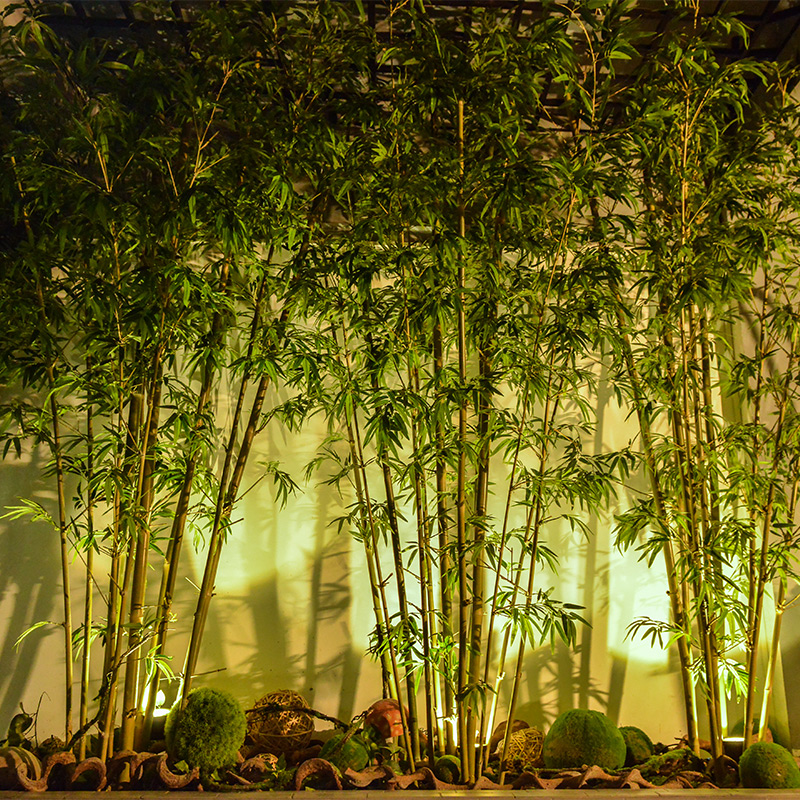 Fake bamboo simulation window decoration Chinese style screen partition Entrance corner landscaping Green plants Japanese dry landscape