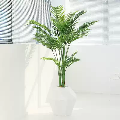 Simulation of green plants, fake grass potted ornaments, Nordic soft decoration design, Qin Ye banyan indoor large floor-to-ceiling decoration, turtle back