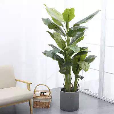 Simulation potted indoor living room decoration plantain tree bonsai medium and large home floor-to-ceiling green plants Nordic style ornaments