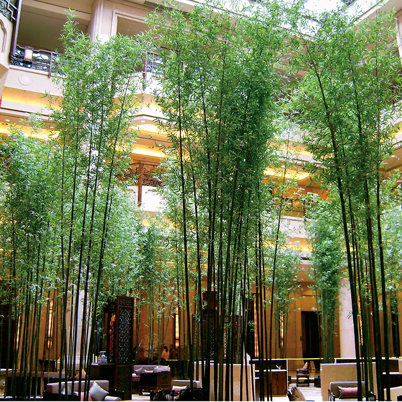 Fake Bamboo Emulation Plant Partition Wall Screen Green Planting Living Room Hotel Shop Window Large Build View Customizable