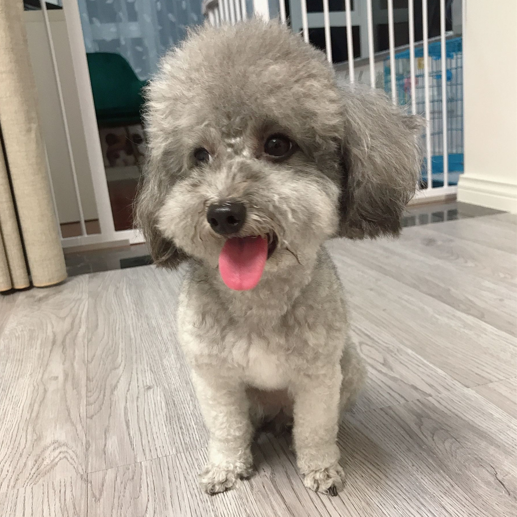 Supplementary freight supplementary postage difference (a few yuan to shoot)