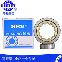 HRB Harbin bearing no outer ring eccentric sleeve cylindrical roller new type RN205M old model 502205H