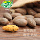 Torreya seeds new arrival in 2023 Xiangfei Zhuji Fengqiao specialty nut Xiangfei 500g