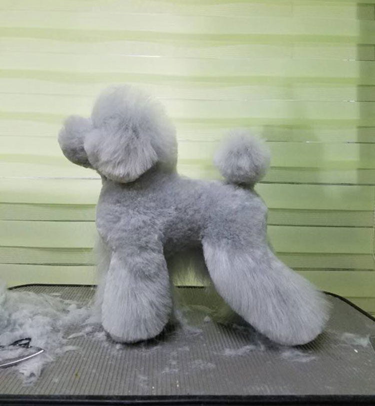 Rui pet pet groomer practices shearing Teddy model fake dog model skeleton full body fake dog hair