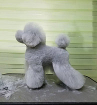 Rui Chong pet groomer practice shearing Teddy model fake dog model skeleton full body fake dog hair