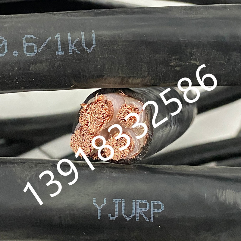 Frequency Conversion Shielded Cable Vvrp /Bpyjvrp3/4/2.5/4/6/10/16/25/35/50/70/95 Frequency Conversion Shielded Cable Vvrp /Bpyjvrp3/4/2.5/4/6/10/16/25/35/50/70/95