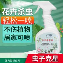 Household plant insecticide flower red spider mite dust lice spiders termite slug millipede spray