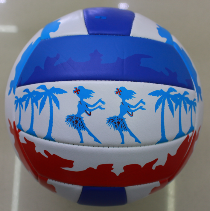 Volleyball high school entrance examination students special ball junior high school students training hard volleyball girls pink children's beach inflatable soft volleyball