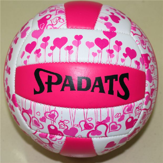Ballon de volley - Ref 2010290 Image 6