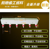 Feeding piglets bottles nipple piglets feeding animals breastfeeding animals sucking milkies nanny machines milk