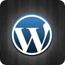 WordPress外贸站的LOGO