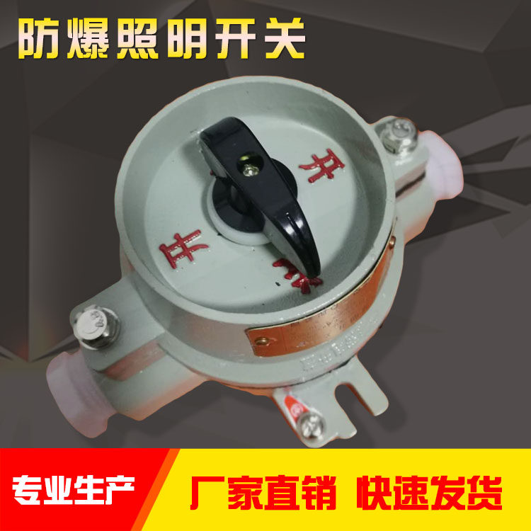 Explosion-proof lighting switch 220V single-connection single-control SW switch box 380V aluminum alloy explosion-proof switch 10A waterproof