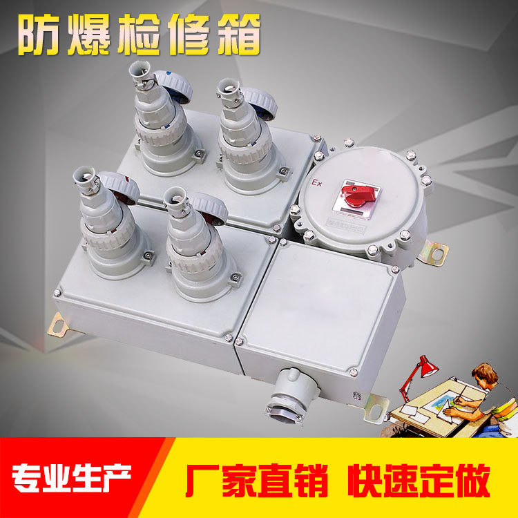 Explosion-proof plug socket Power overhaul box Power overhaul box switch and distribution box socket overhaul box