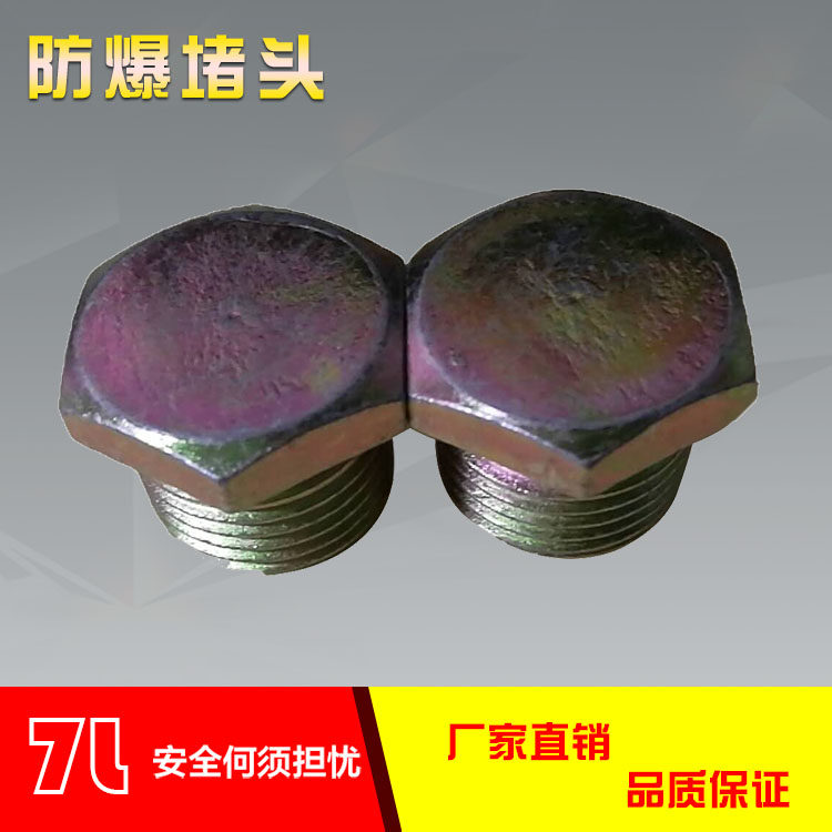 Explosion-proof choke plug 1 2 pipe joints 3 4 sealing head DN15 explosion-proof pipe choke plug 4 points 6 sub-joints