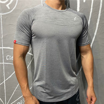 Loose Sports Short Sleeve Training Quick Dry Short Sleeve Fitness Running T-shirt base shirt Casual Breathable Top Men Summer