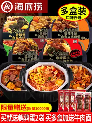 Haidilao self-cooked hot pot self-heating small hot pot 2 boxes package lazy fast food net celebrity food to eat a box of self-service