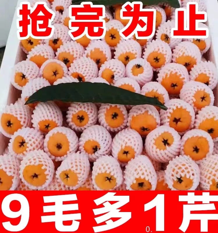 (Shunfeng) Yunnan Monself loquat fruit long iridescent loquat fresh loquat pipa for the season pregnant woman fruit whole box-Taobao