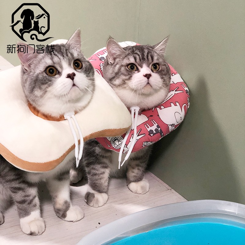 Elizabeth Circle Pet Cat Microphone Hood Anti Licking Dog Necklace Softring Cat Dog Neck Ring Toast Pet Supplies