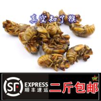 Know the monkey Golden Cicada fresh know the cicada pupa know the turtle Shunfeng 2 pieces