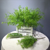 Foreign trade high-quality hand feeling simulation Rosemary goldfish green plant DIY multi-function plug flower variety