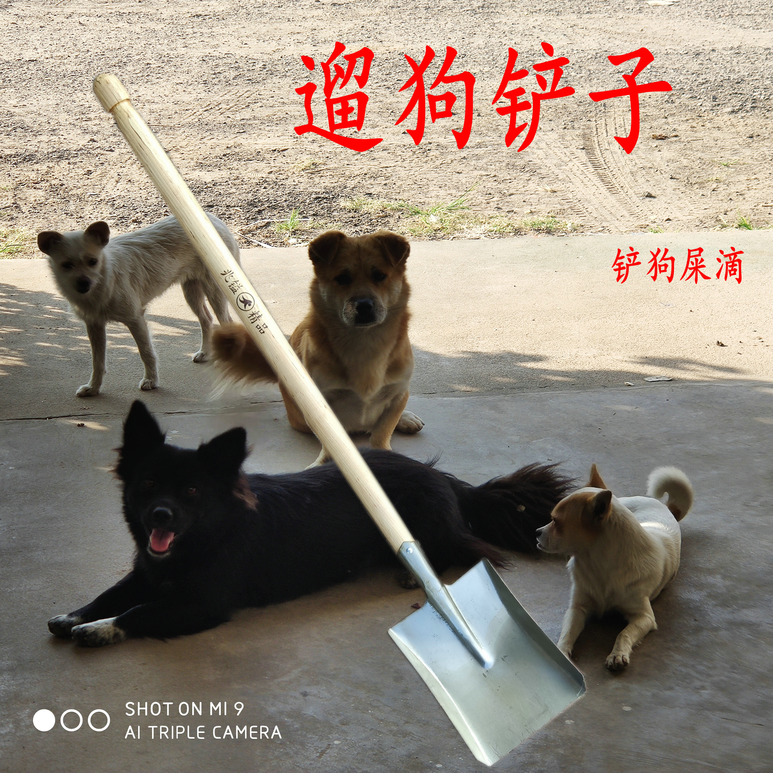 Shoveling officials walking dog turnoff poo poo shovel dung shovel small shovel small number of household digging for earth and shovel coal clear manure tool