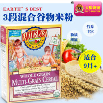 American Aisebe Earth World Earths Best mixed grain rice noodles baby food rice paste 3 segments