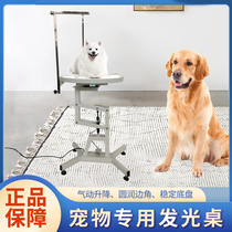 Pet beauty Table Dogs Beauty Table Table Piefi Piefing Summ