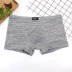 Quần lót nam Boxer Kapf Modal Cotton Mid-Eo Thanh niên Stretch Stretch Màu cotton thoáng khí Quần bốn dây nam quần lót nữ sinh Giữa eo