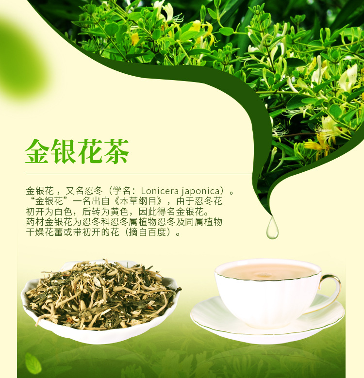 金银花茶新】_01