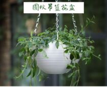 Chlorophyta basket flowerpot hanging pot hanging adhesive hook for raising green roe special indoor self-absorbing plastic flower pot