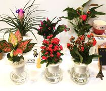 Flower pot formaldehyde hanging orchid water raising decorative indoor plant powder Palm purification Jiuli fragrant glass Guanyin bamboo fragrant wood