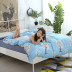 Chăn che đơn mùa xuân và mùa thu đông sinh viên độc thân ký túc xá 1,5m giường đôi 200x230 dày chà bông chăn đơn chăn lông cừu giá rẻ Quilt Covers