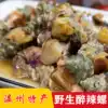 Wenzhou specialty snacks Wild spicy snails Wenzhou conch open bottle ready-to-eat Zhoushan drunk spicy snails under rice spicy snails 500g