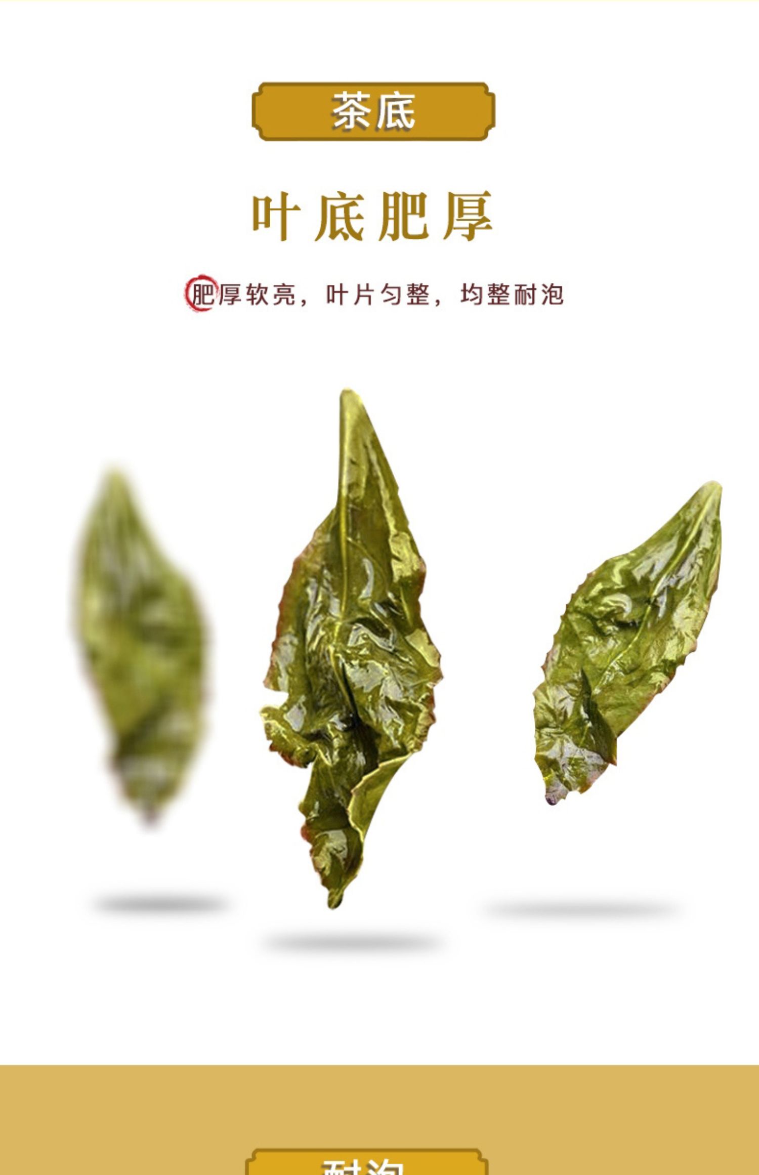 凤山铁观音茶叶125g特级清香