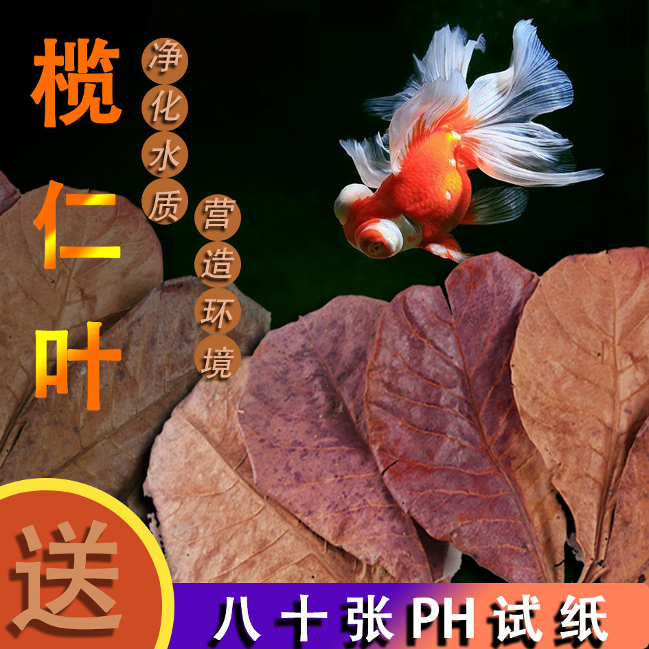 Turtle Olive Leaf Bucket Fish Sloth Leaf Drop Acid Regulation Water Quality Red Dragon Turtle Cylinder Downpour Acid Ph Value Fish Tank Ruren Leaf