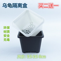 Turtle Isolation Box Aquatic Fish Fry Hatchbox Fish Tank Turtle Hair Color Box Peacock Turtle Fry Hatching Isolated Case Turtle