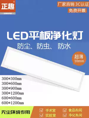 Flat purifies the lamp led jie jing deng zhang tiao deng surface-mounted ceiling dust-free workshop bar zou dao deng corridor lights