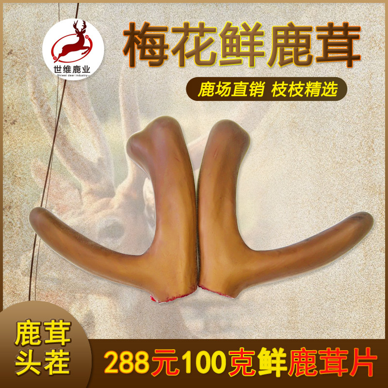 Deer antler whole branches fresh blood Jilin sika deer velvet fresh antler slices bubble wine medicinal materials Artificial breeding